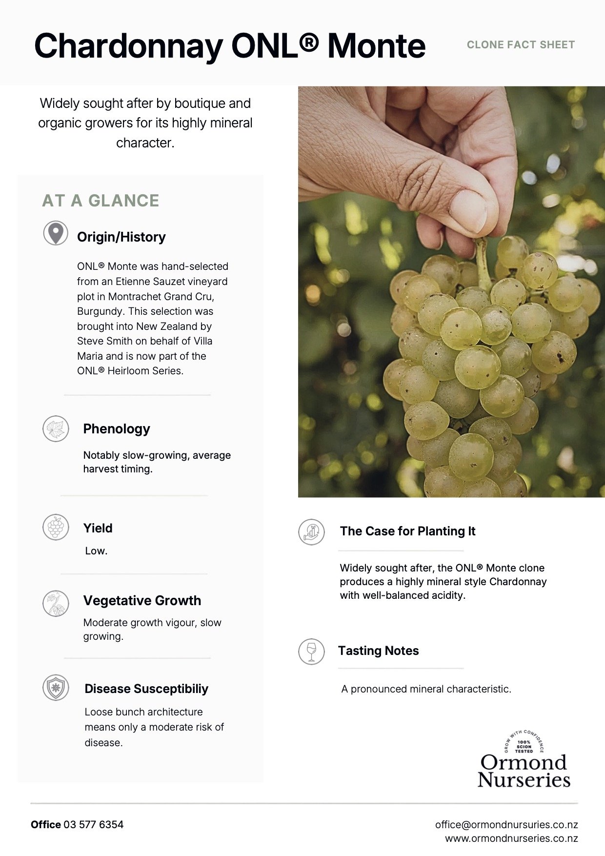 Chardonnay Monte Clone Fact Sheet