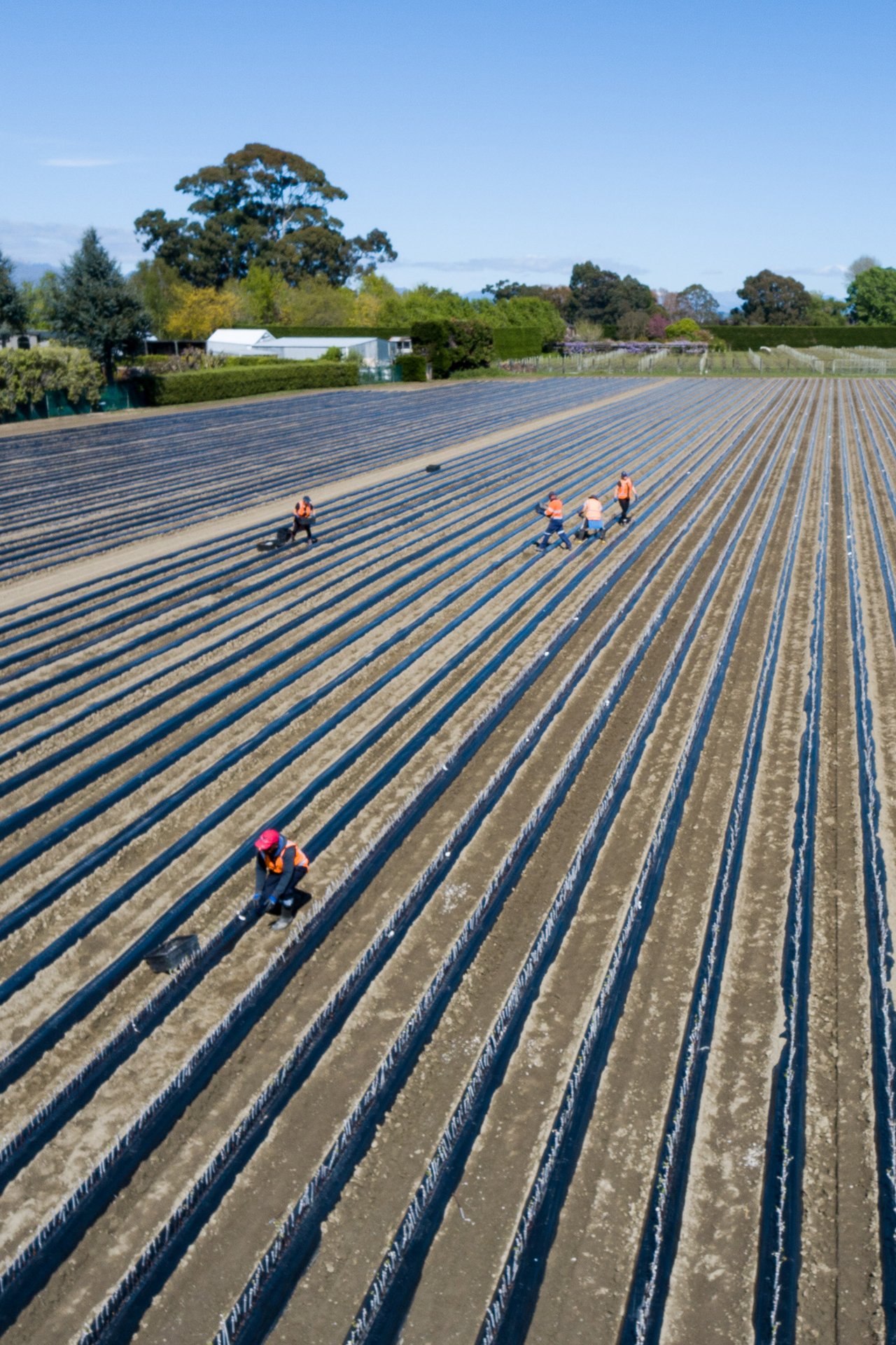 Ormond Nurseries in Marlborough NZ