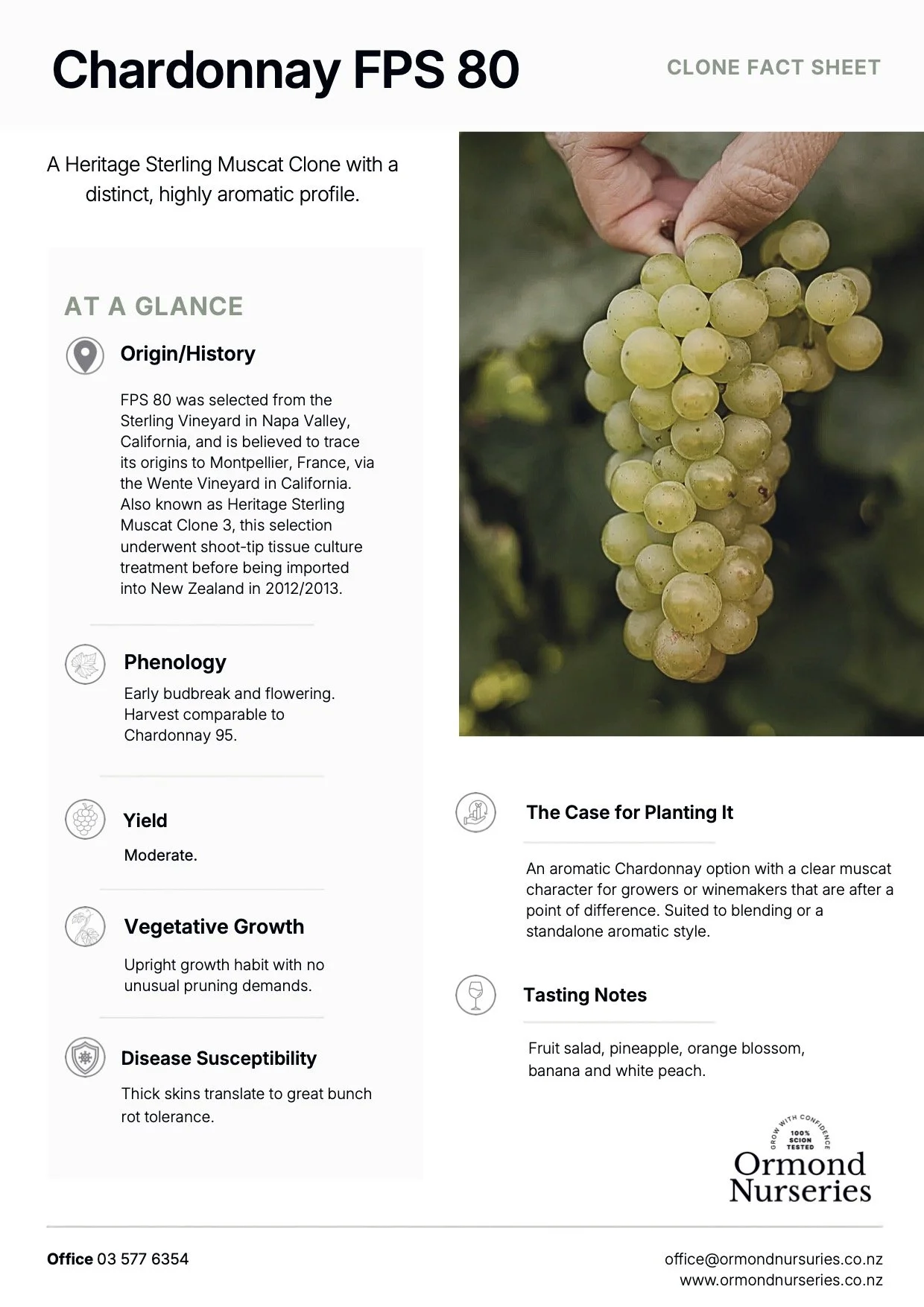 Chardonnay FPS 80 Clone Fact Sheet