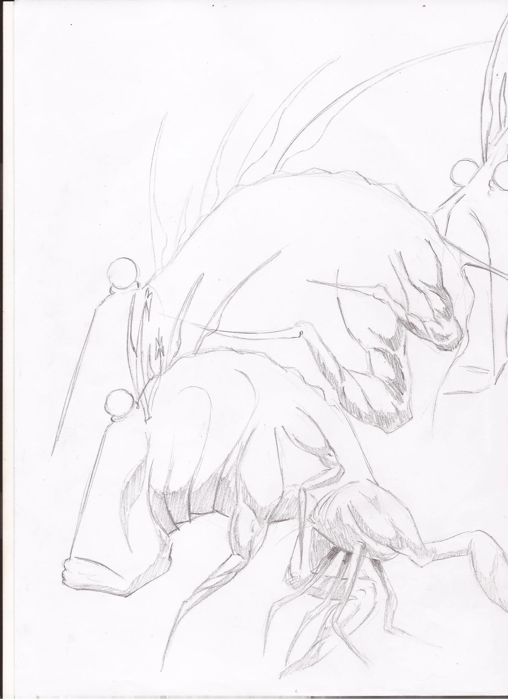 Scan0003.jpg