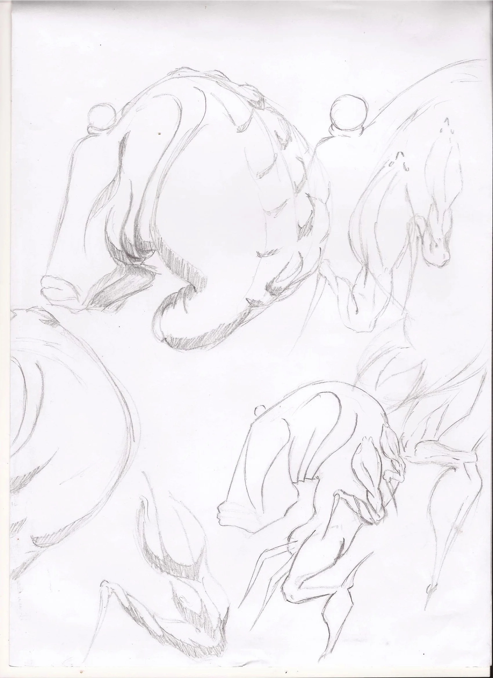 Scan0006.jpg