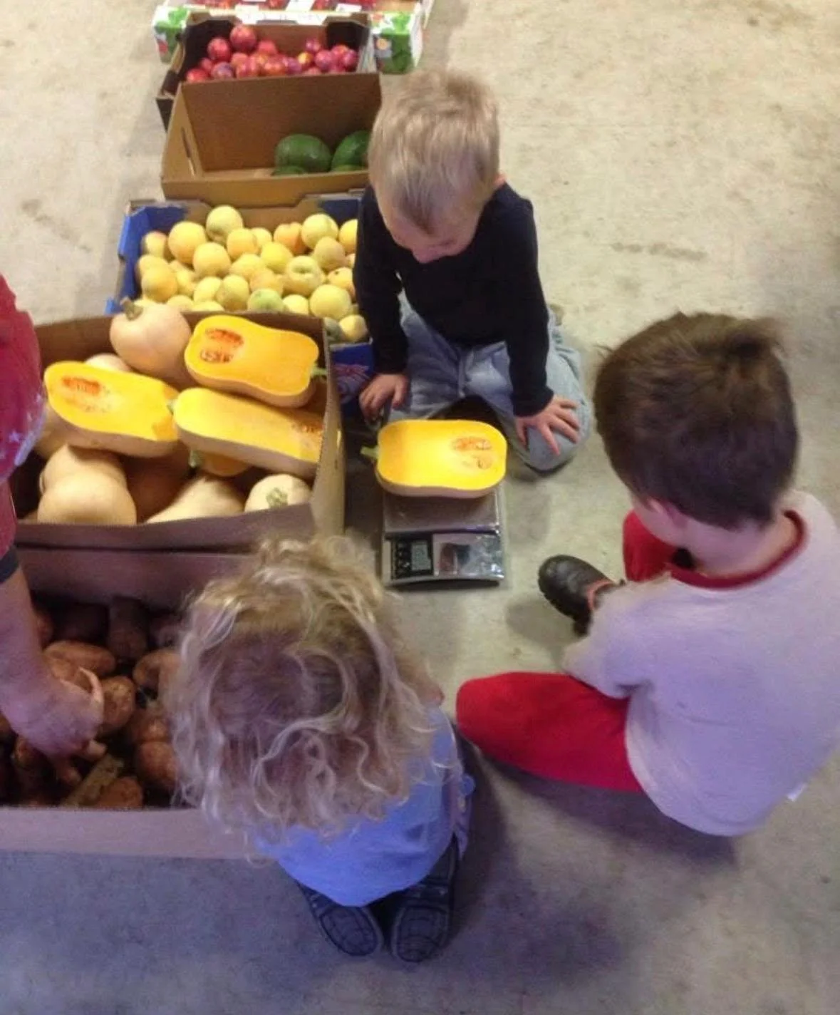 Three children and an adult in a market or store, surrounded by crates of fresh produce including apples, melons, and onions, as they weigh and examine the fruits.