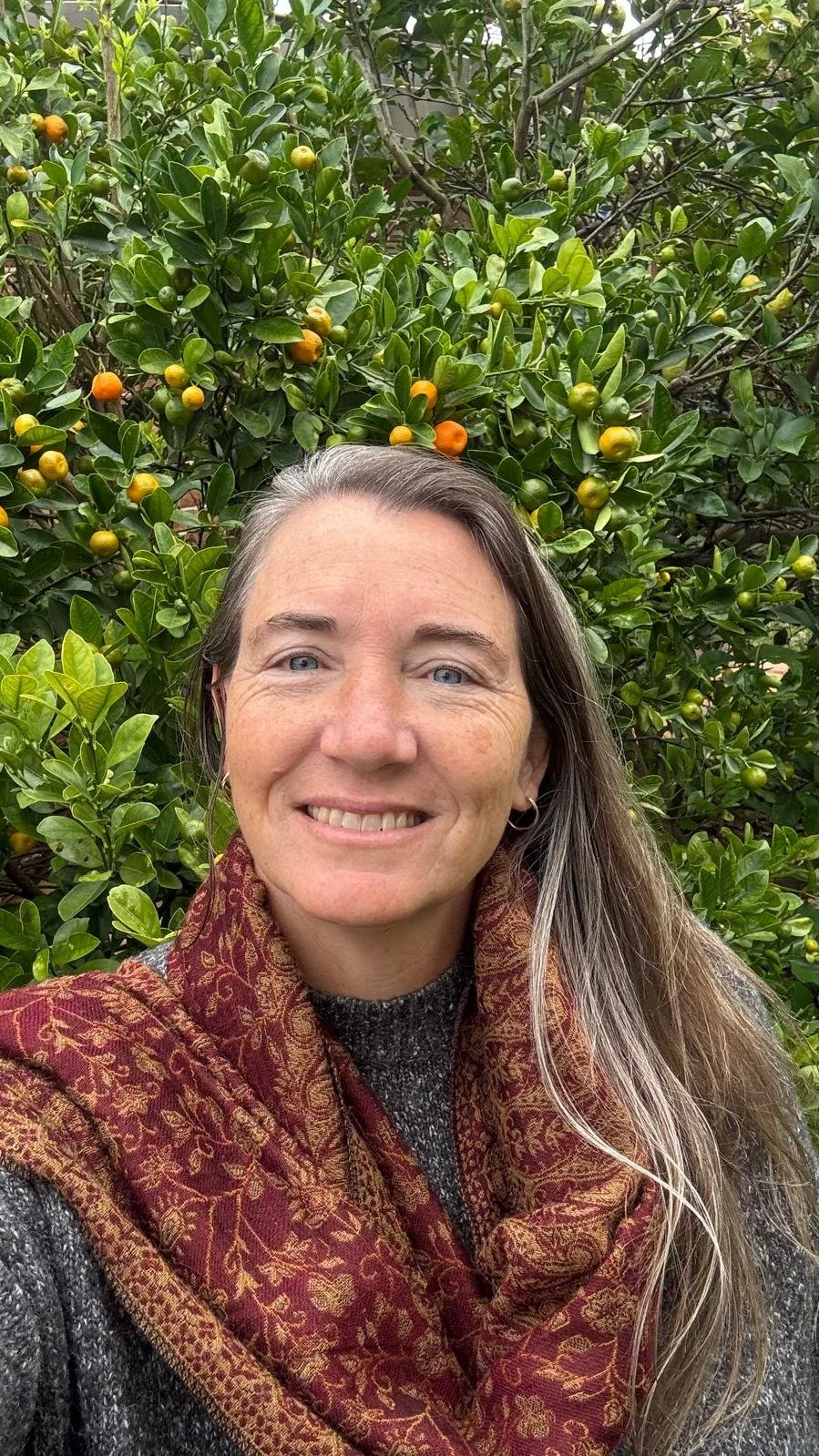 A woman taking a selfie in front of a lush green citrus tree with ripening oranges.