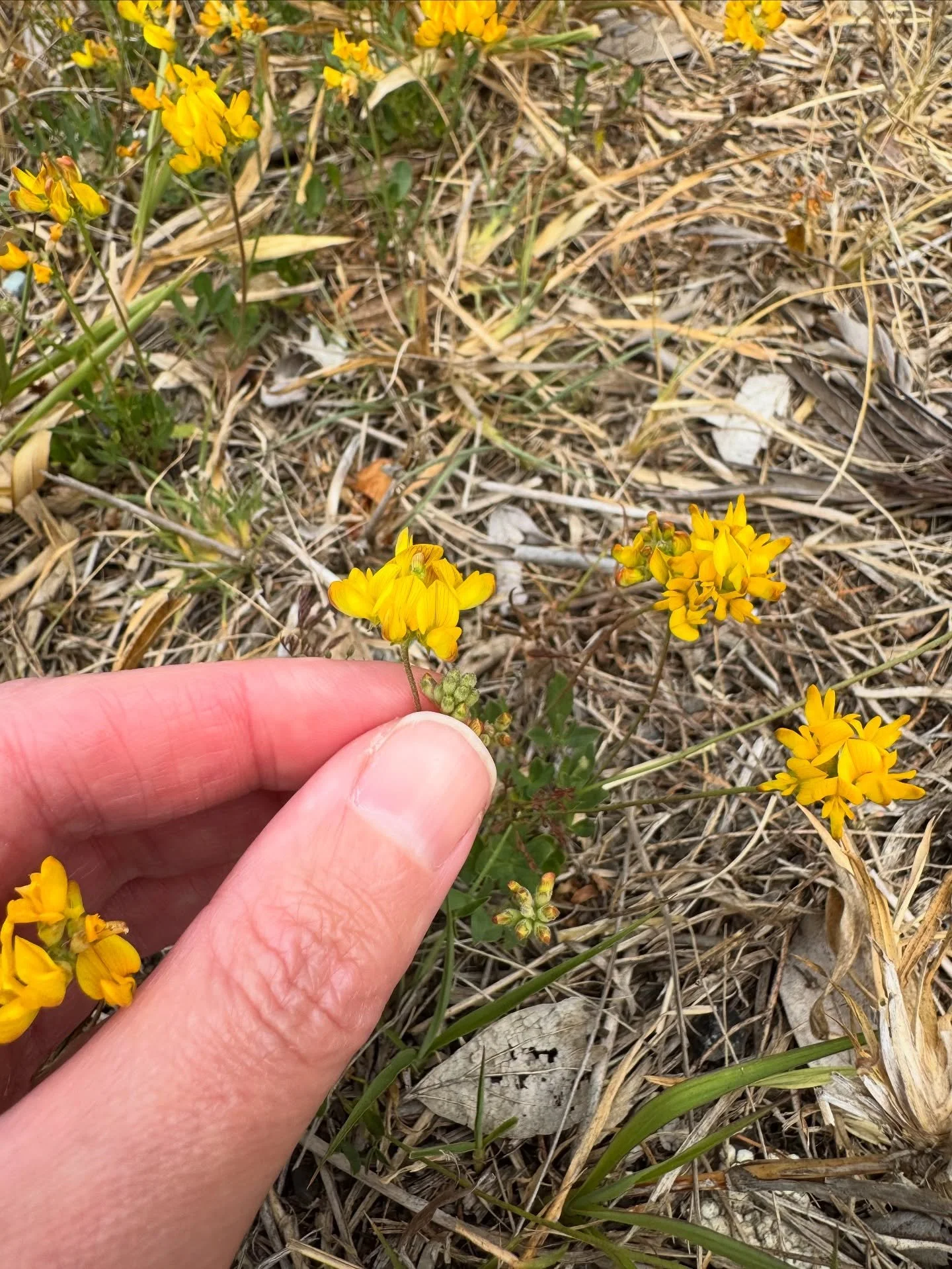 October photo dump. I love that I just have a camera in my pocket and can photograph everything. I forgot to add it to this photo carousel but I also had a reel (2, really) go off and have gotten a load of new followers this month. If that&rsquo;s yo