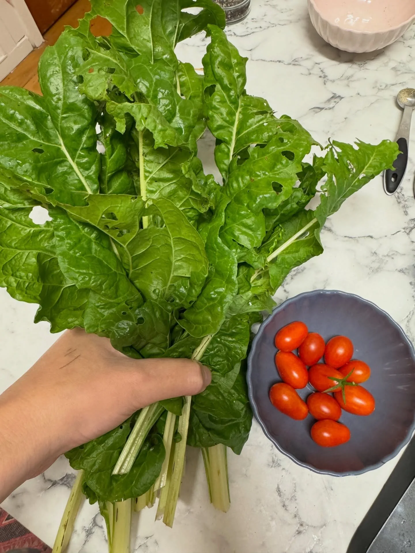 MARCH PHOTO DUMP

I didn&rsquo;t actually take many (that didn&rsquo;t have Rows face in the anyway lol). I&rsquo;ve been tired, getting more rotund and uncomfortable by the day. Actively working on some new and improved content for you though!

1. V