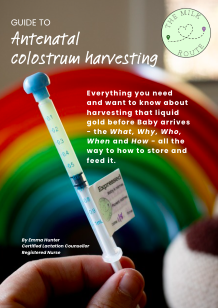 Guide to antenatal colostrum harvesting