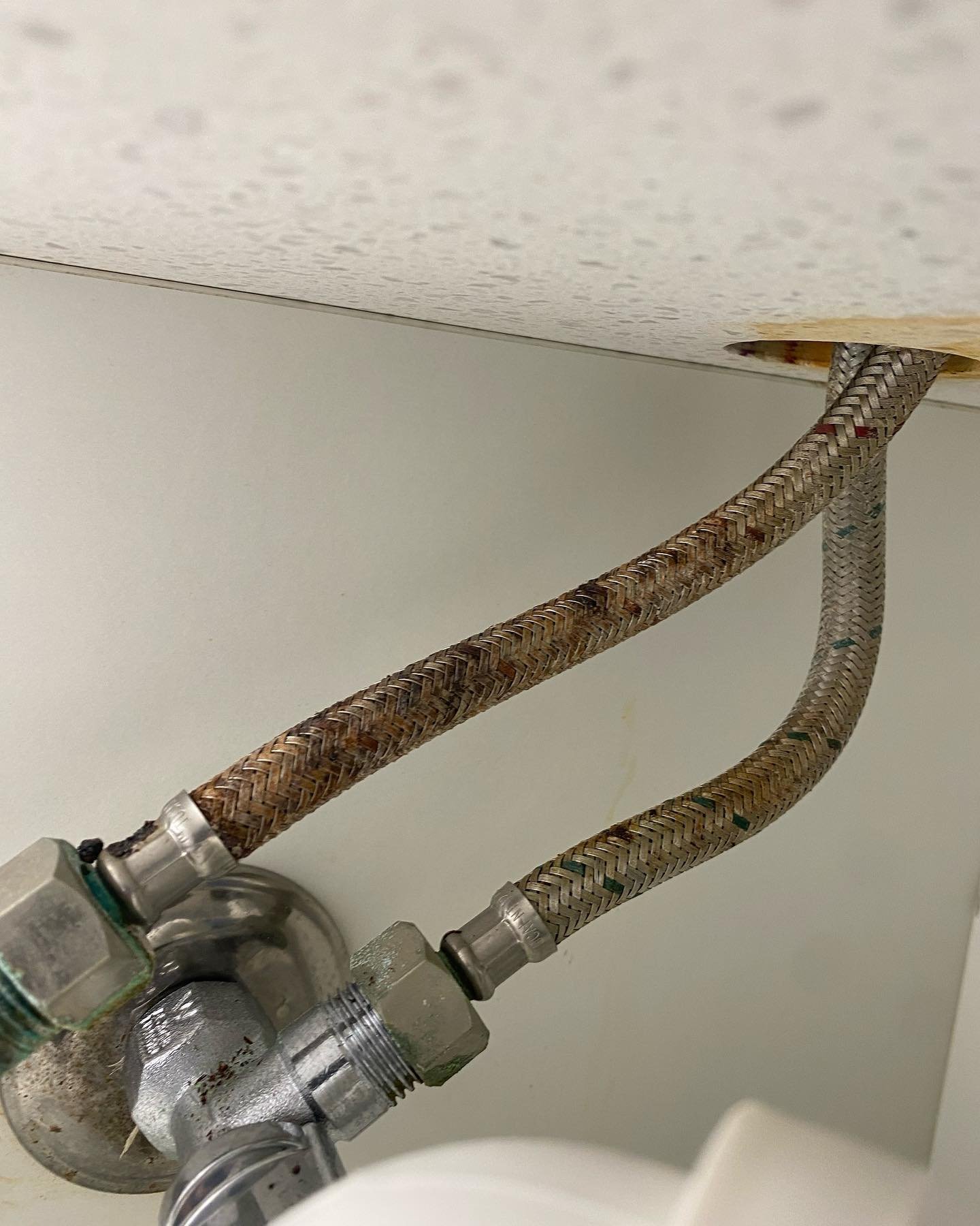 &mdash; Rusty Flexi Hoses &mdash;

These are a common issue found under the kitchen sink, vanities and laundry tubs. Once the rust gets through the steel Flexi hoses, the rubber underneath bursts and then floods the house. 

&mdash; We found these du