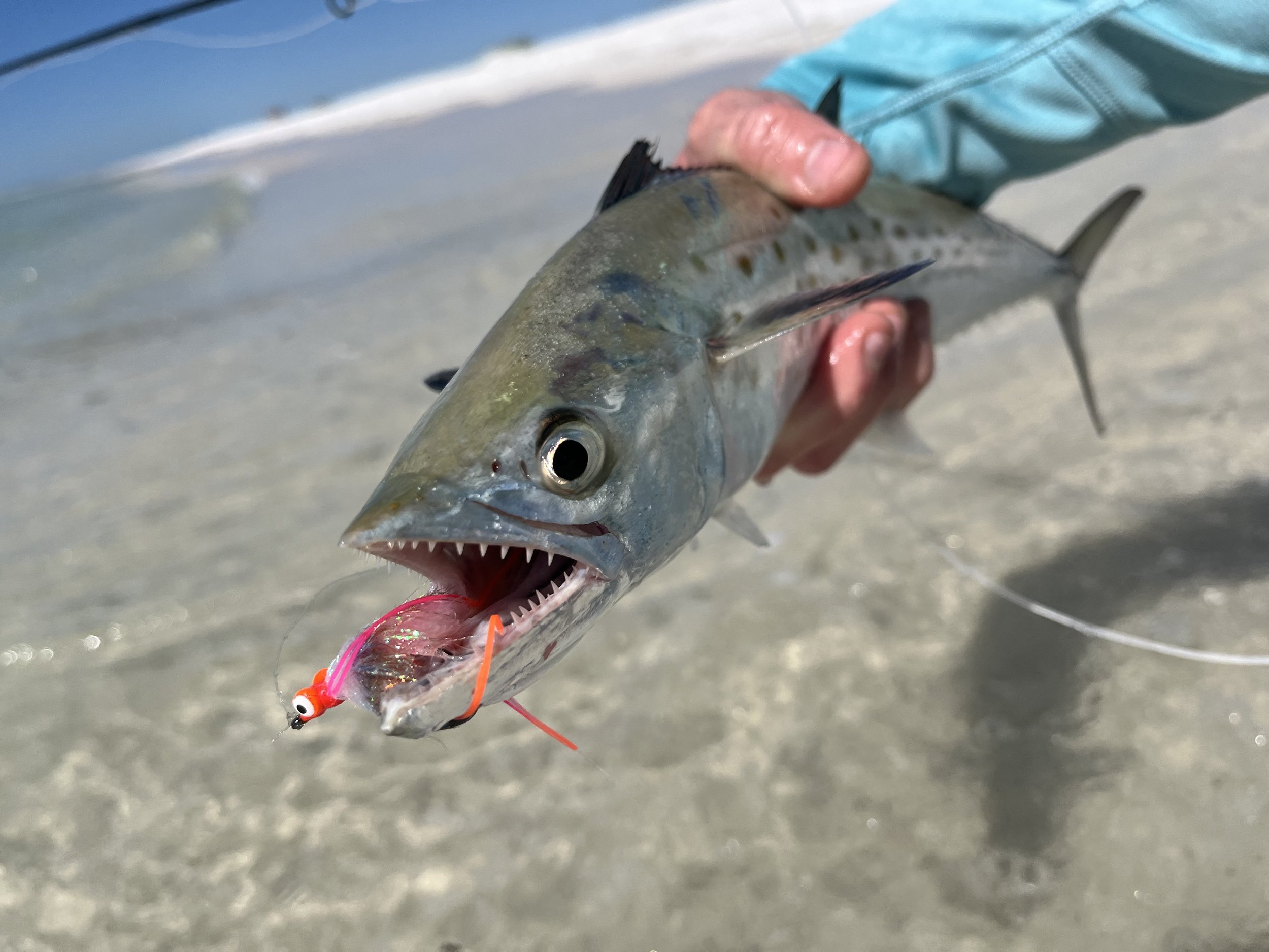 Santa Rosa Beach 30A Fishing