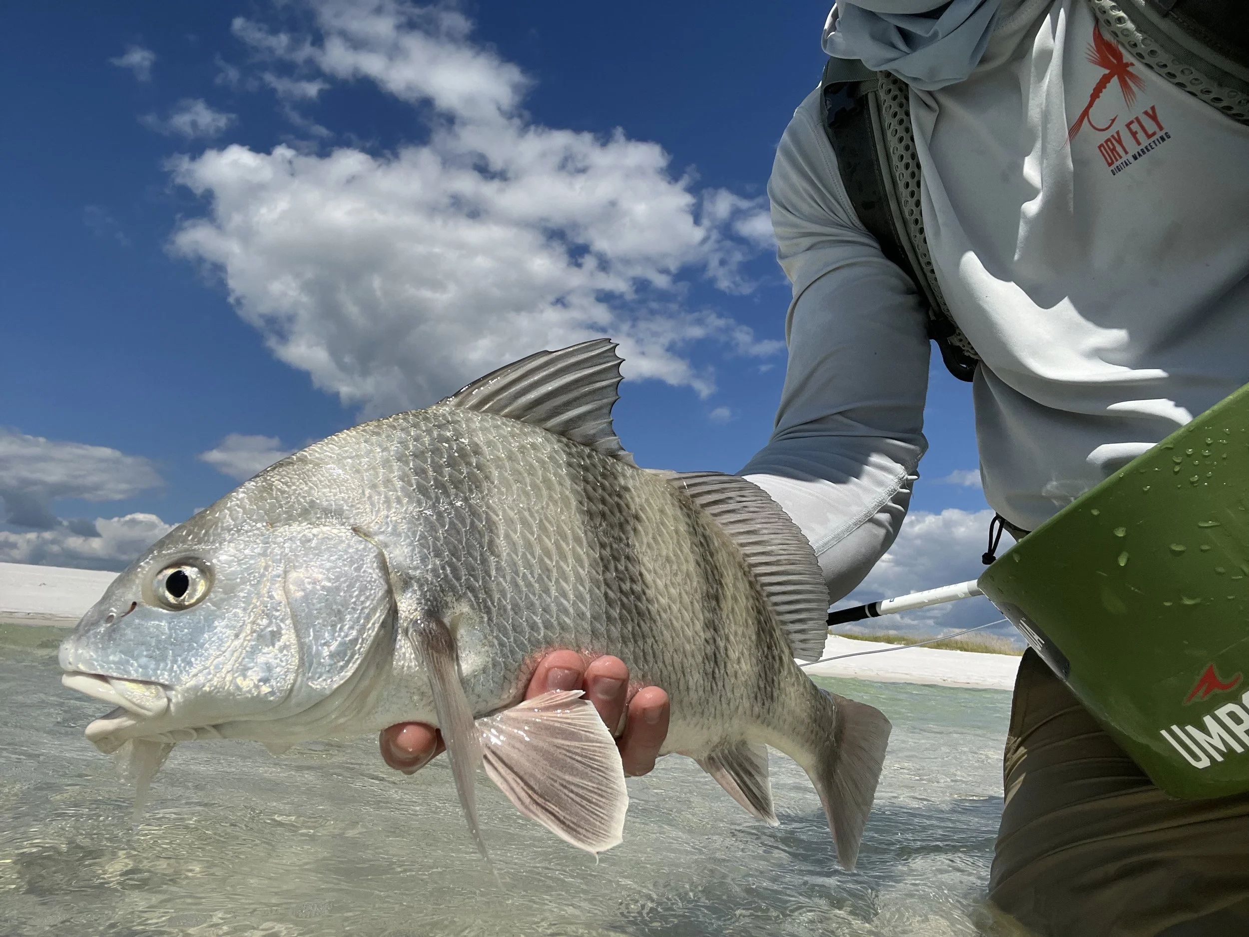 Santa Rosa Beach Fishing Trip
