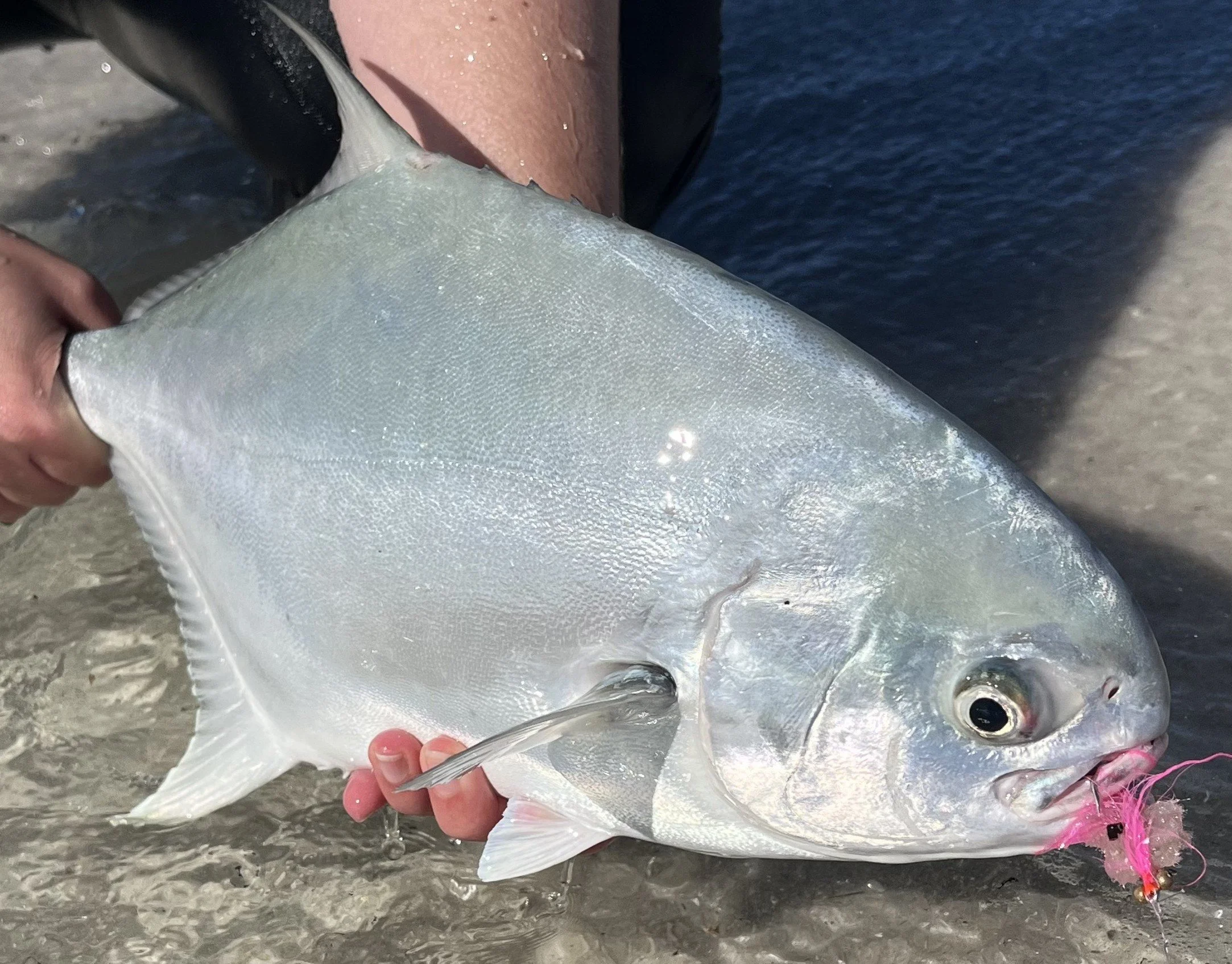 30A Fly Fishing Pompano