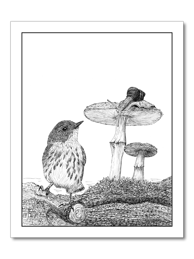 Peek A Boo