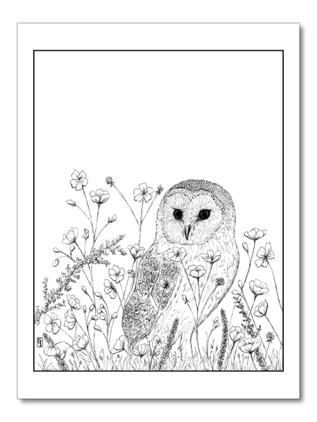 Among the Buttercups