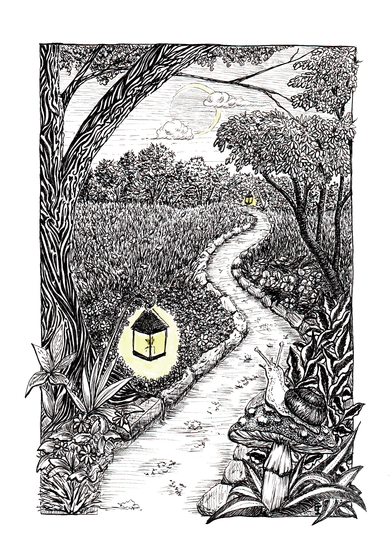 Elise Iglio Art Virginia Landscape Pen Drawings elise-iglio-art-virginia-landscape-pen-drawings