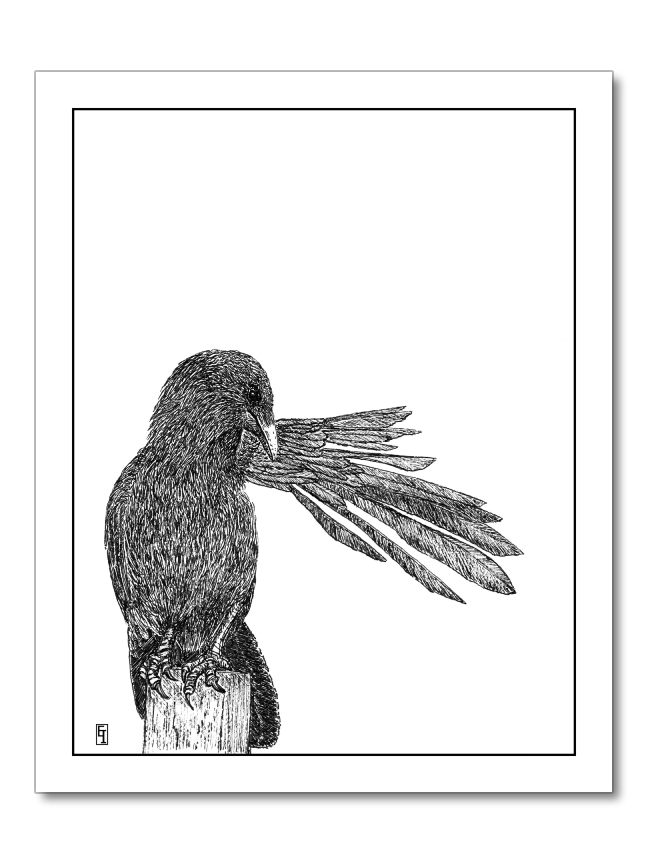 Every Feather in Place