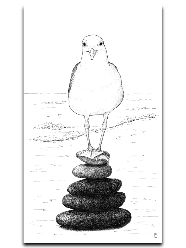 Serene Seagull