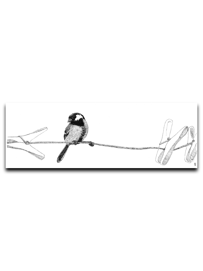 Hmmm, All Beak No Body