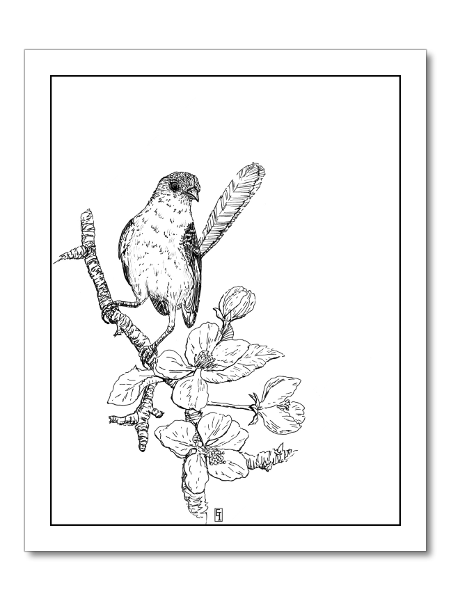 Nanny Nanny Boo Boo (Mockingbird)