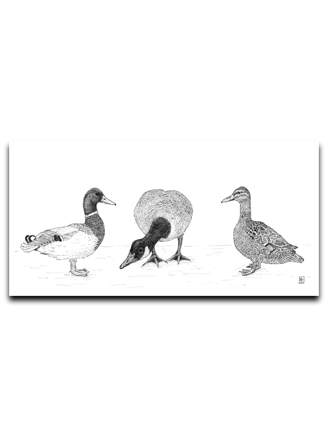 Duck Goose Duck (Commas Matter)