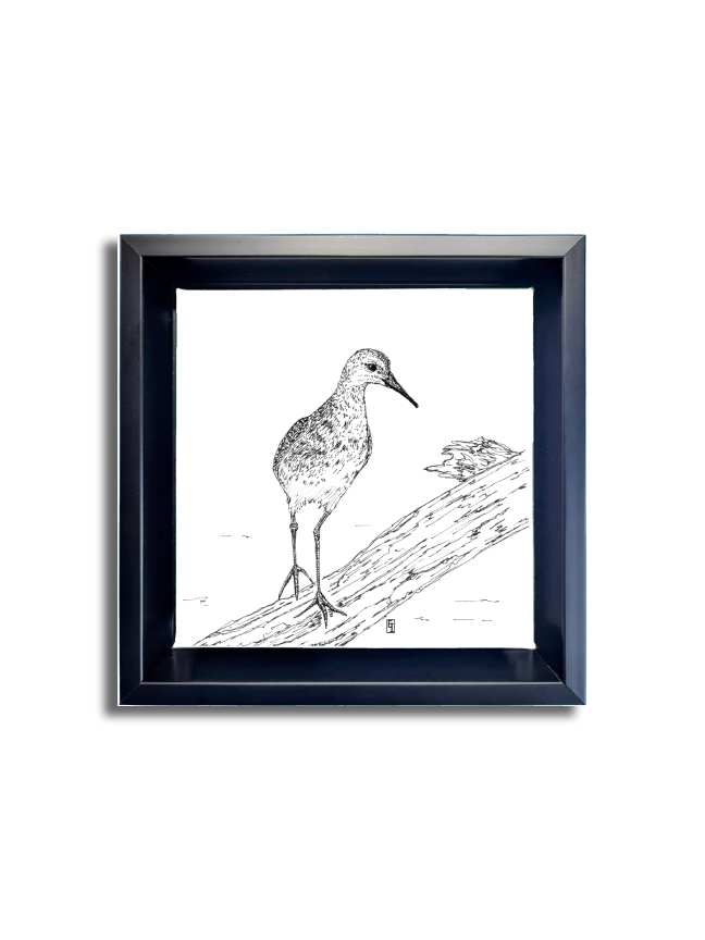 Piper 1