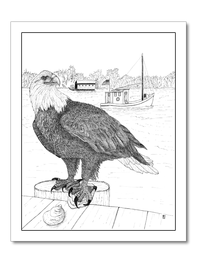 Freedom