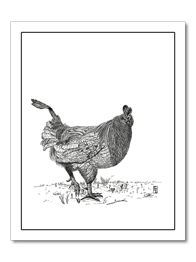 The Strut