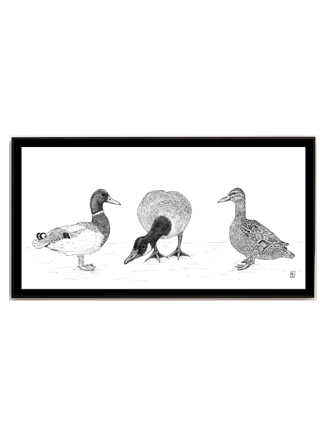 Duck Goose Duck (Commas Matter)