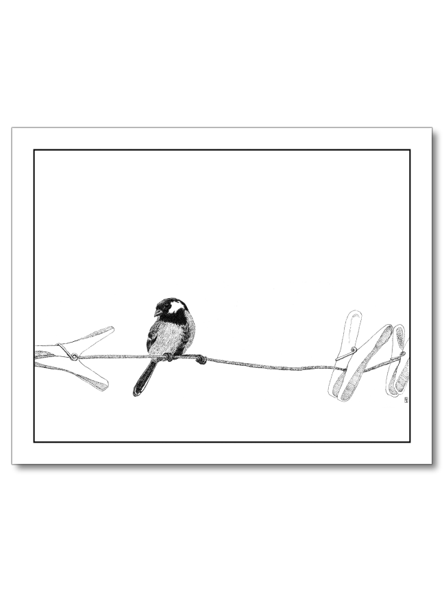 Hmmm, All Beak No Body