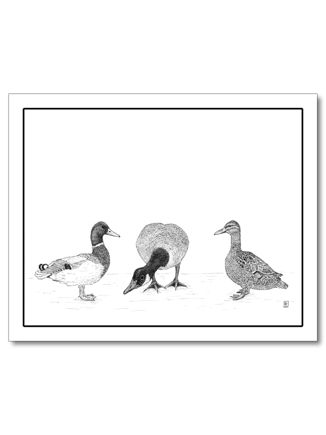 Duck Goose Duck (Commas Matter)