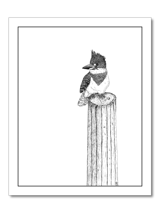 The Lookout