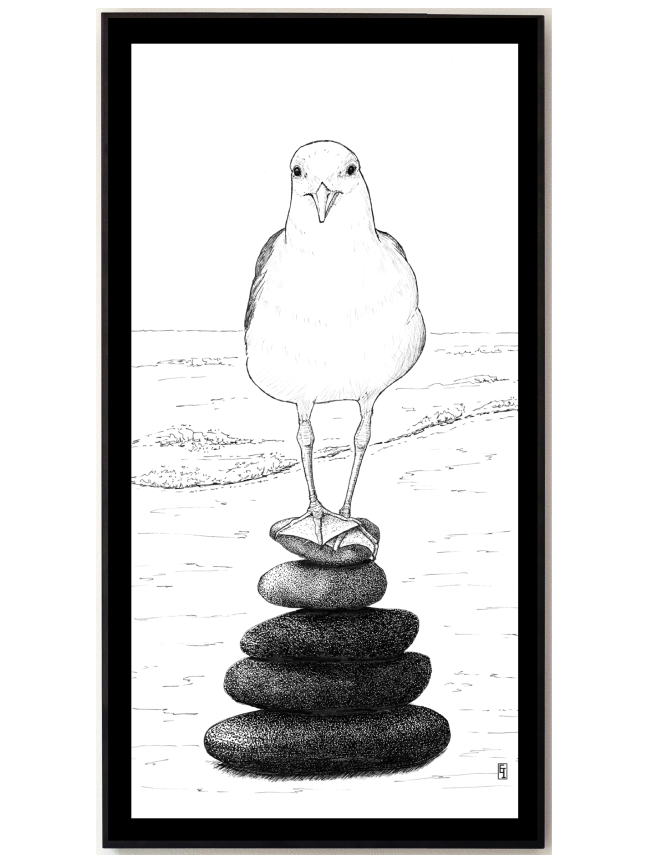 Serene Seagull