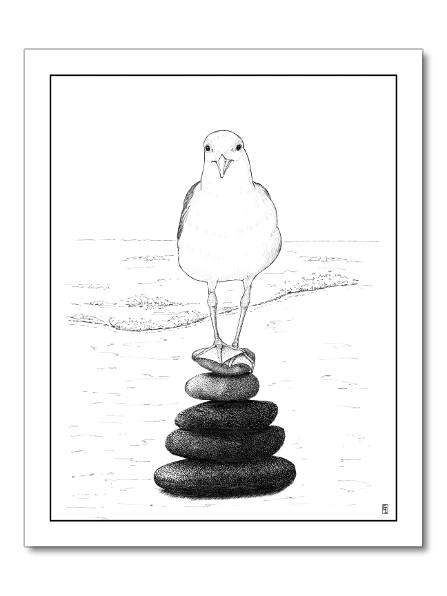 Serene Seagull