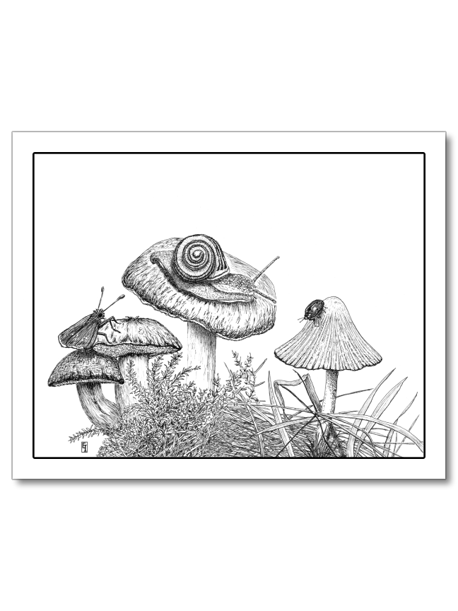 Mushroom Convention
