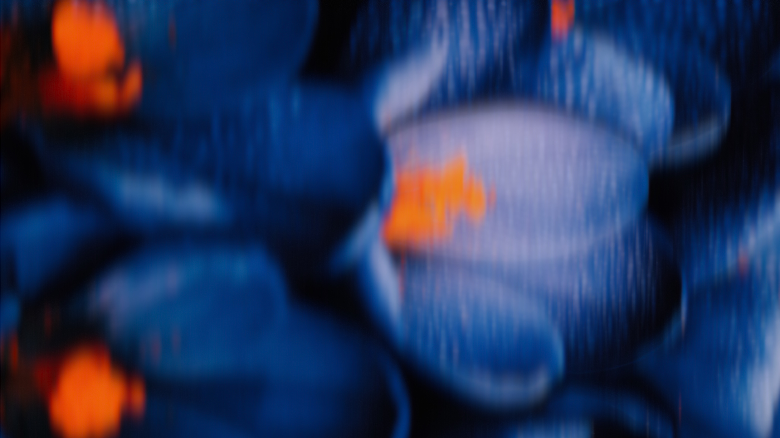 FINE FORM_PHASE 2_BRAND KIT (3).png