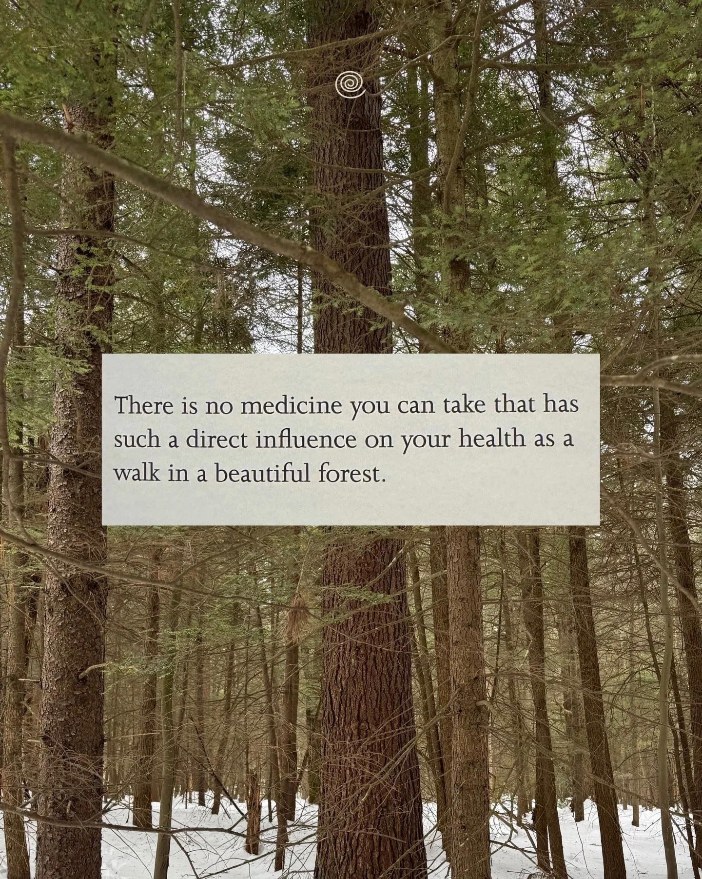 I&rsquo;ve spent some time in the forest this winter, feeling the effects on my body, and wanting to learn more. This curiosity led me to @theforesttherapyschool - studying forest therapy and helping shape the breathwork element of their curriculum. 