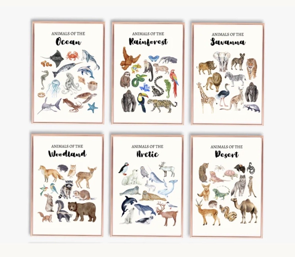 Animal Habitats Educational Wall Art- Montessori Classification Charts, Printable Science Classroom Decor