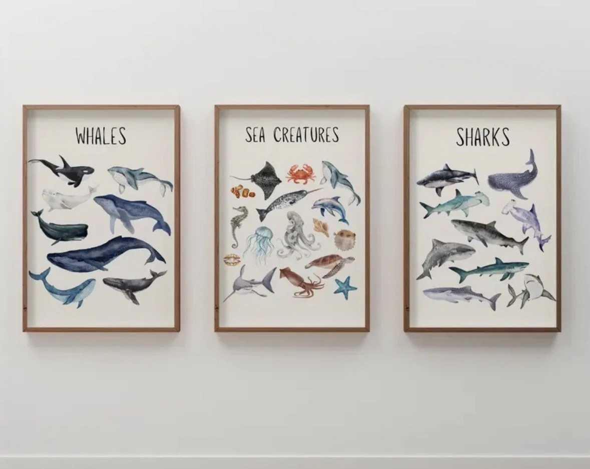 Sea Creatures Wall Art Prints | Sharks & Whales