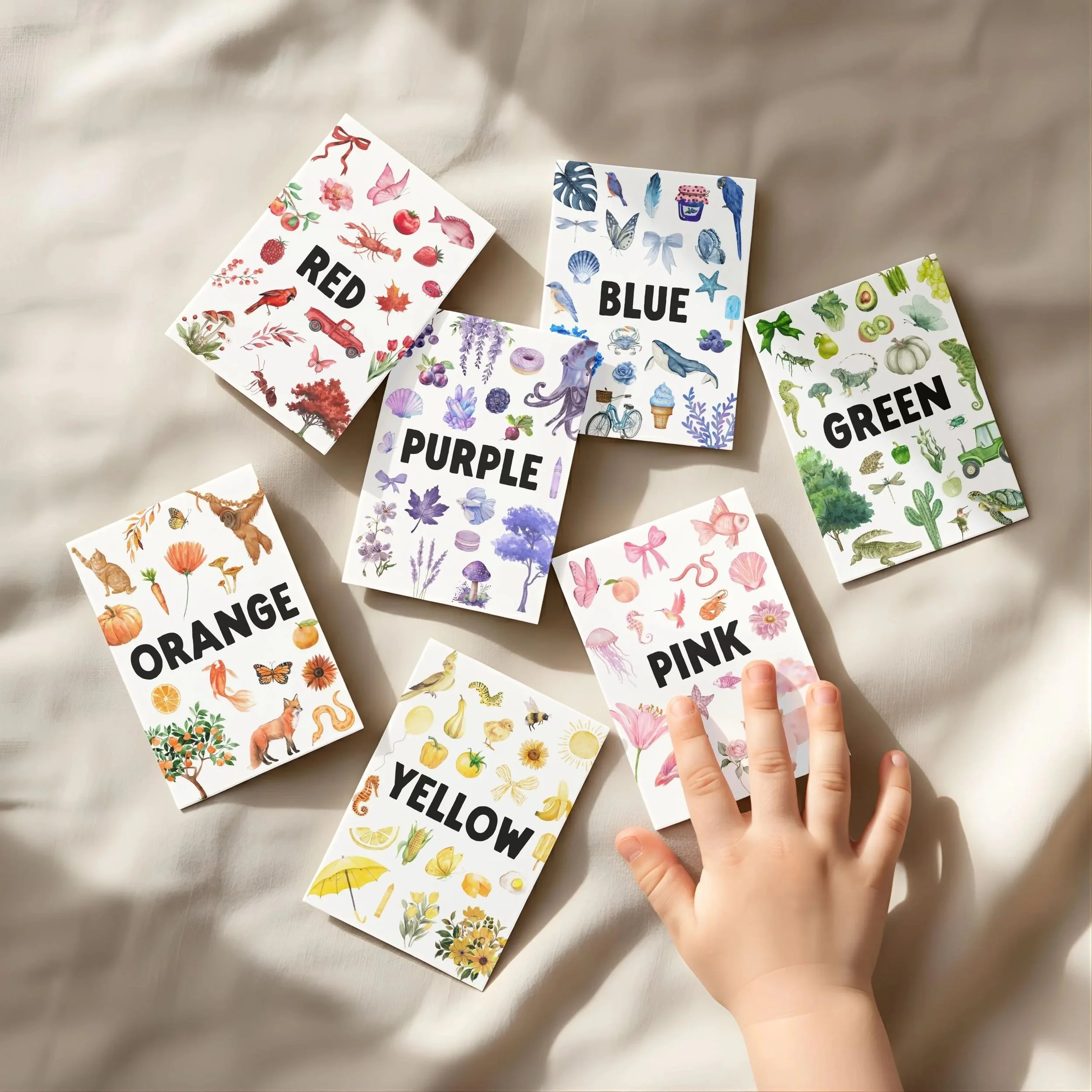 Colors in Nature Toddler Flashcards: Rainbow Color Sorting & Forest Scavenger Hunt