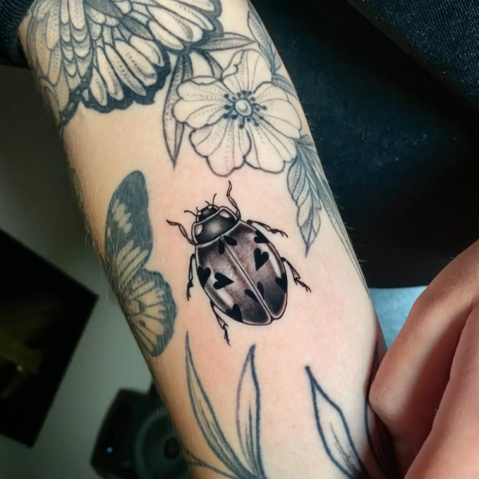 Loved doing this little lady 🐞😍 Bugs & insects are such a delight for me to tattoo! It’s amazing to me that something so little can hold so much beauty.
✨Summer is practically over, which means it’s the perfect time to get a tattoo