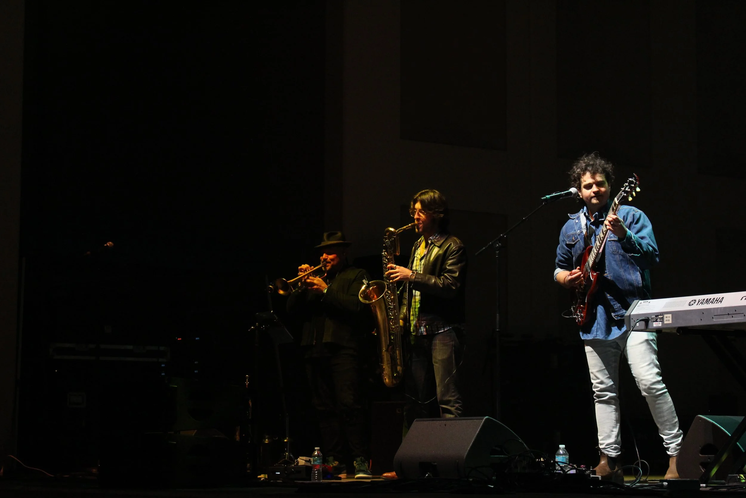 Saxophonist in a band playing on a blues festival with large audience. Corporate saxophonist for parties, galas, dinners and events. Professional Horn section for Victor wainright and the train. 