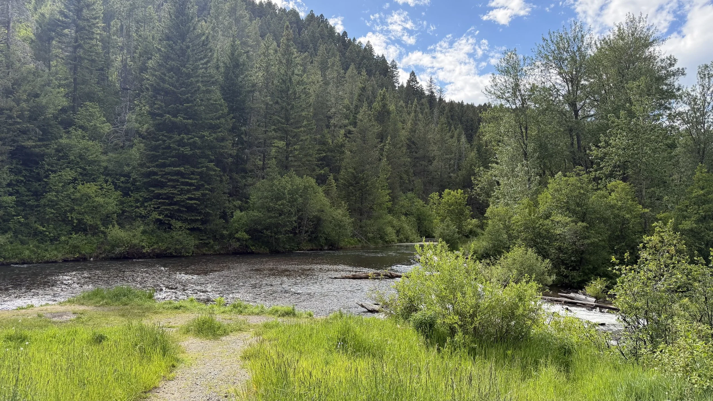 The River Knows