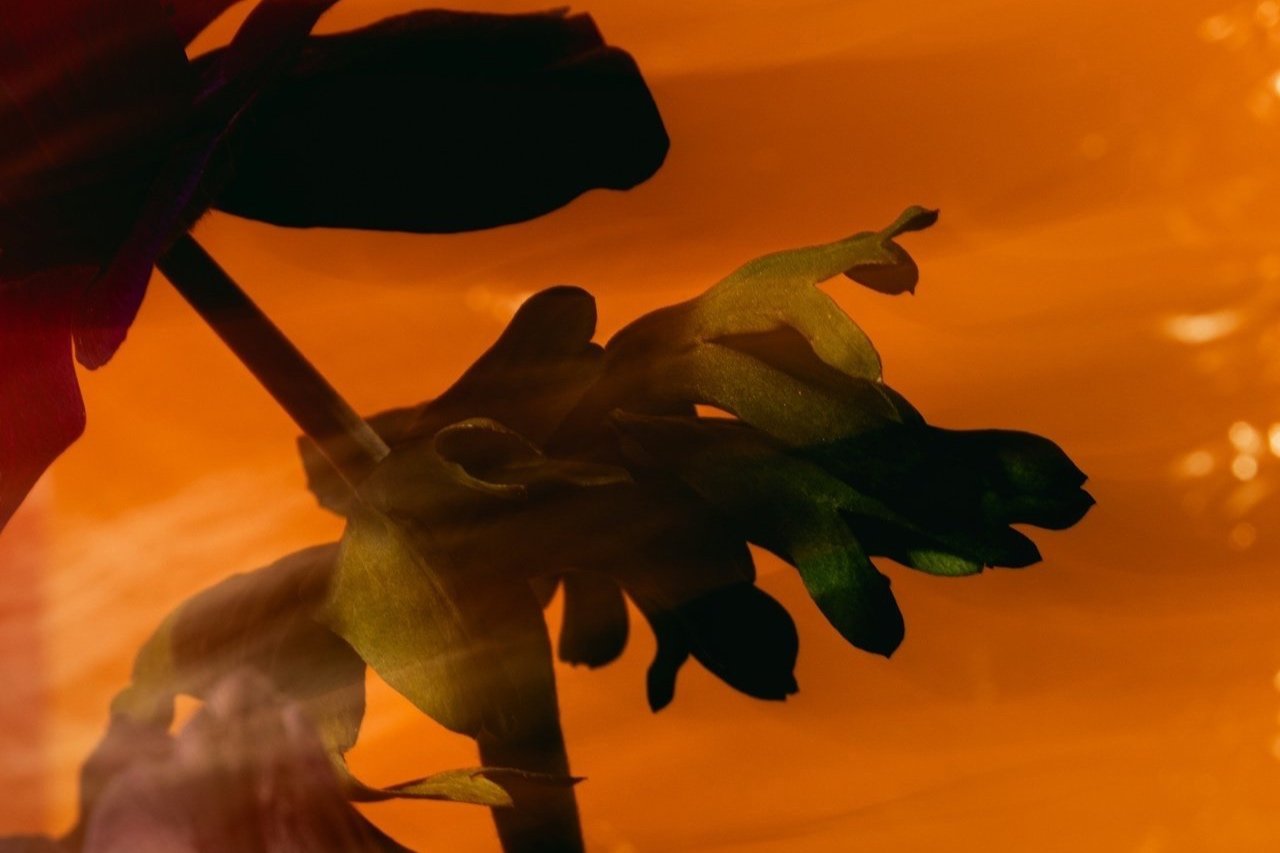 Body-Based Therapies For Embodied Trauma
