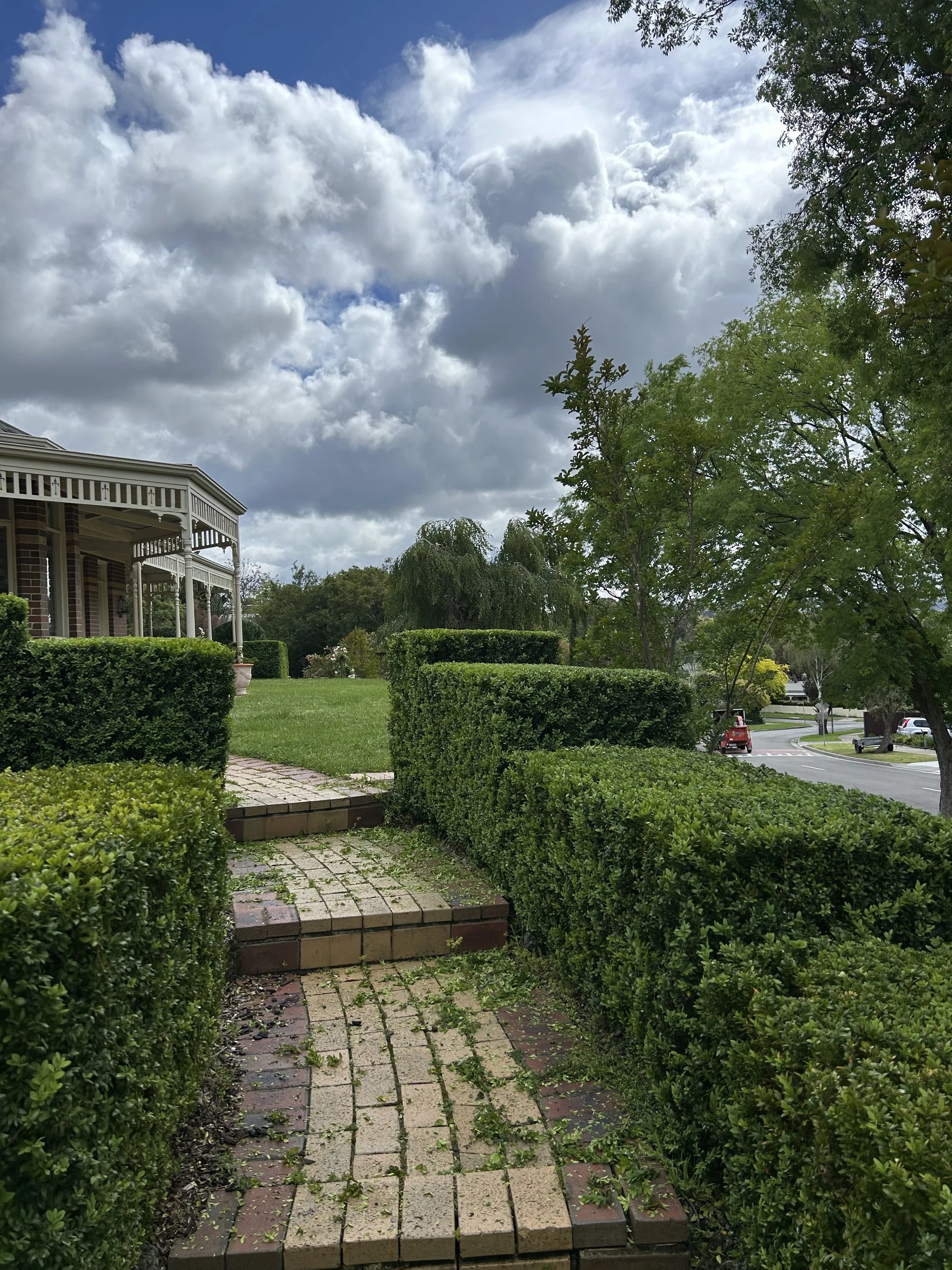 Brick pathway with steps leading to a grassy yard, flanked by trimmed hedges, under a cloudy sky.