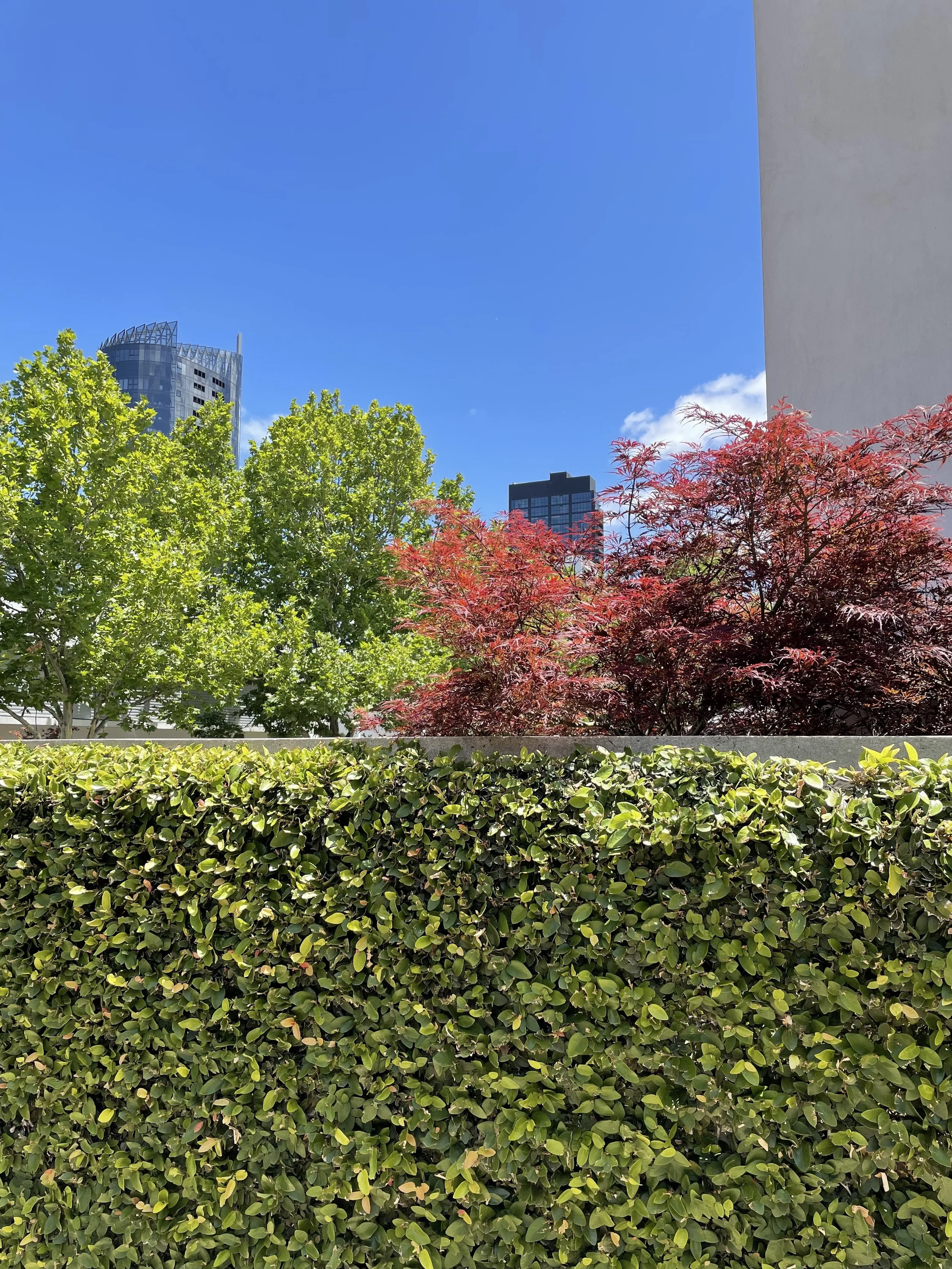 A cityscape with green trees, red shrub, and a hedge in the foreground under a clear blue sky with some clouds.