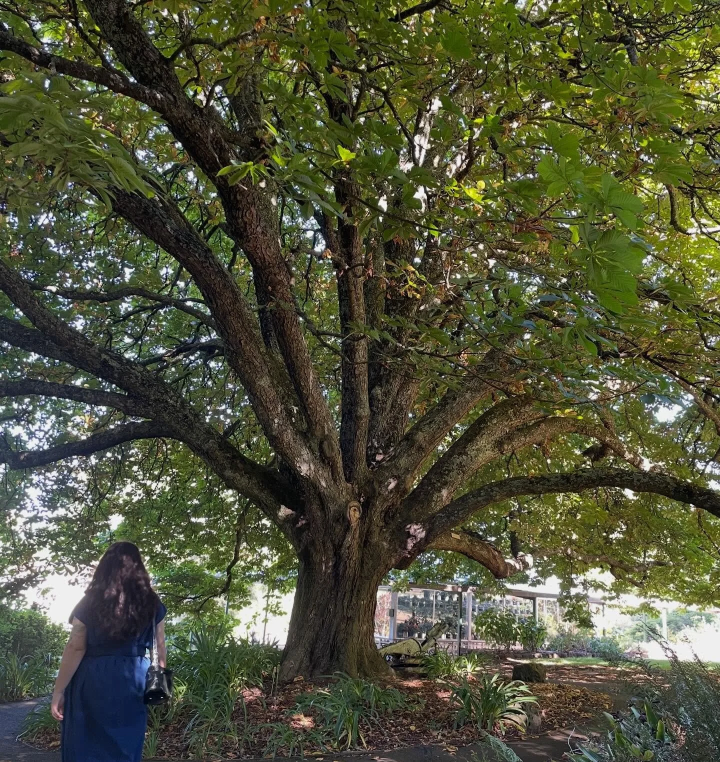 Today we celebrate International Women&rsquo;s Day 🌸
I&rsquo;d like to take a moment to celebrate and honour all the incredible women around the world - especially those working in industries that are still heavily male-dominated, like ours. 

Liliu