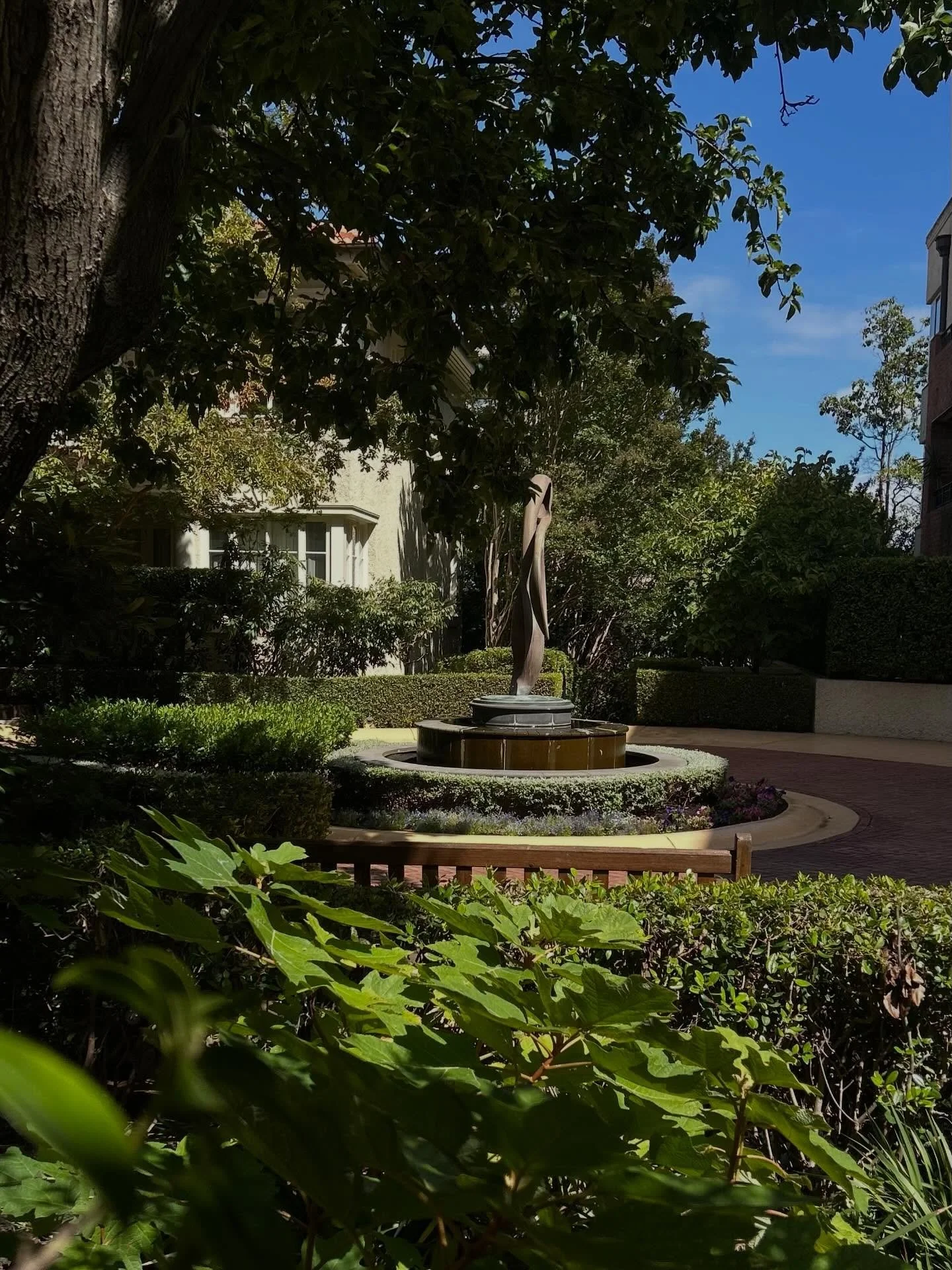 Get a glimpse of one of our commercial gardens in South Yarra that we take pride in maintaining! We work with gardens of all shapes and sizes, both residential and commercial. Reach out to us today if you are interested in giving your garden that spe