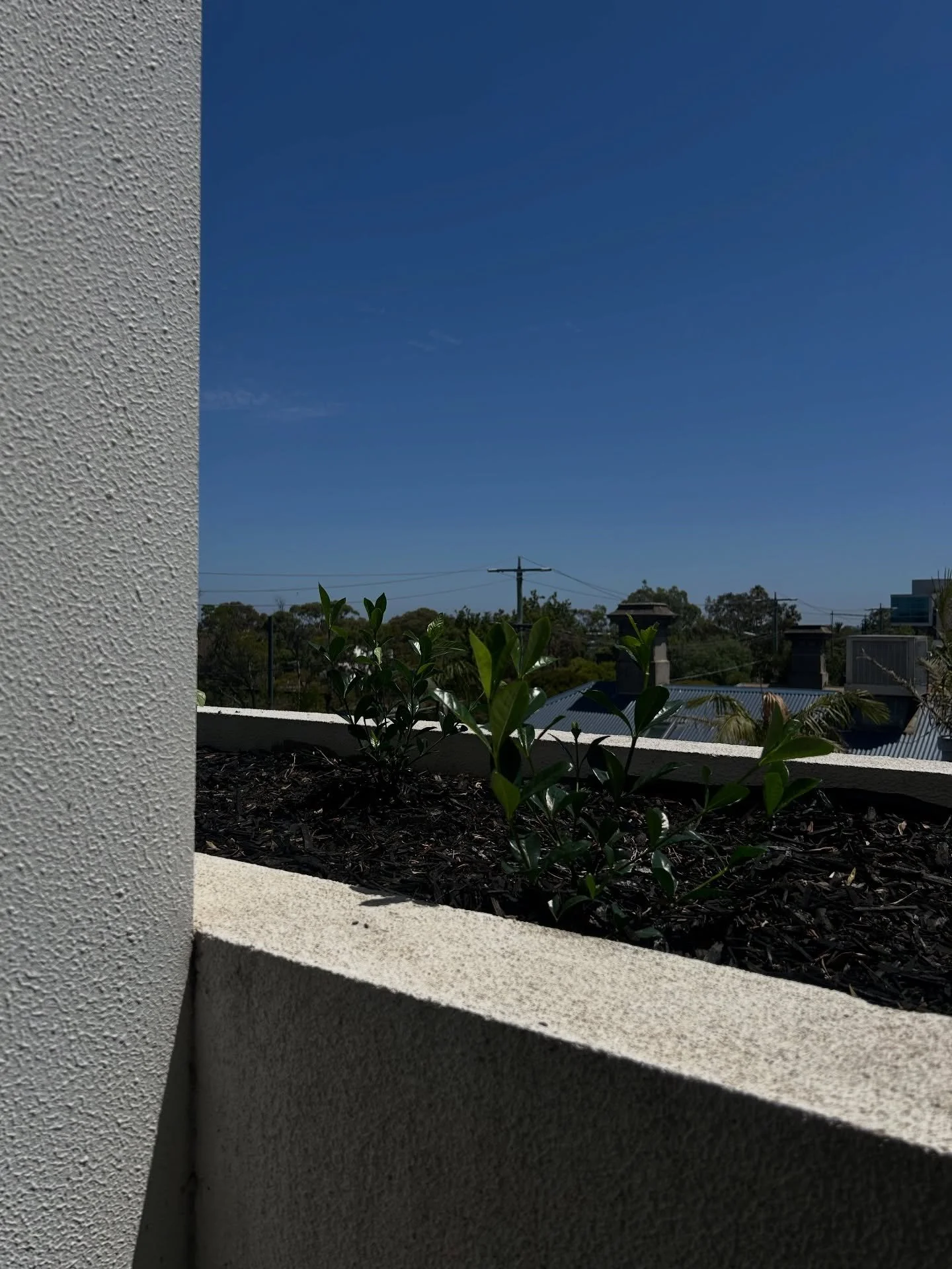 A planter box refresh 🌿 Our client was prepping for sale and needed some fresh plantings on their balcony. Some fragrant Gardenias were the perfect solution