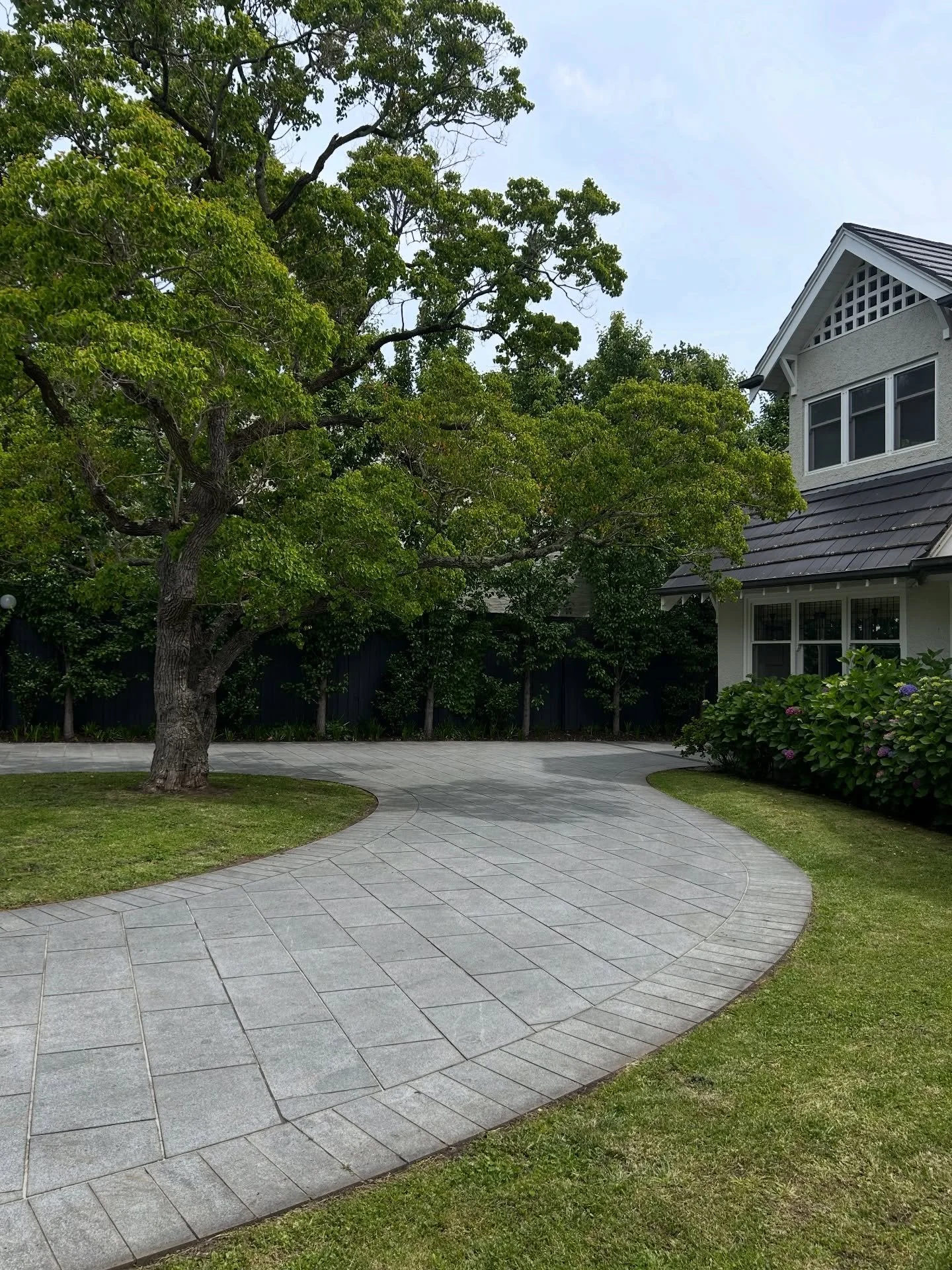 Initial visit at a new client's home earlier this week! We focused on lawns, hand-weeding, and pruning in preparation for a bit of a garden revamp. Keep an eye out for an update

#kew #gardensofkew #melbournegardens