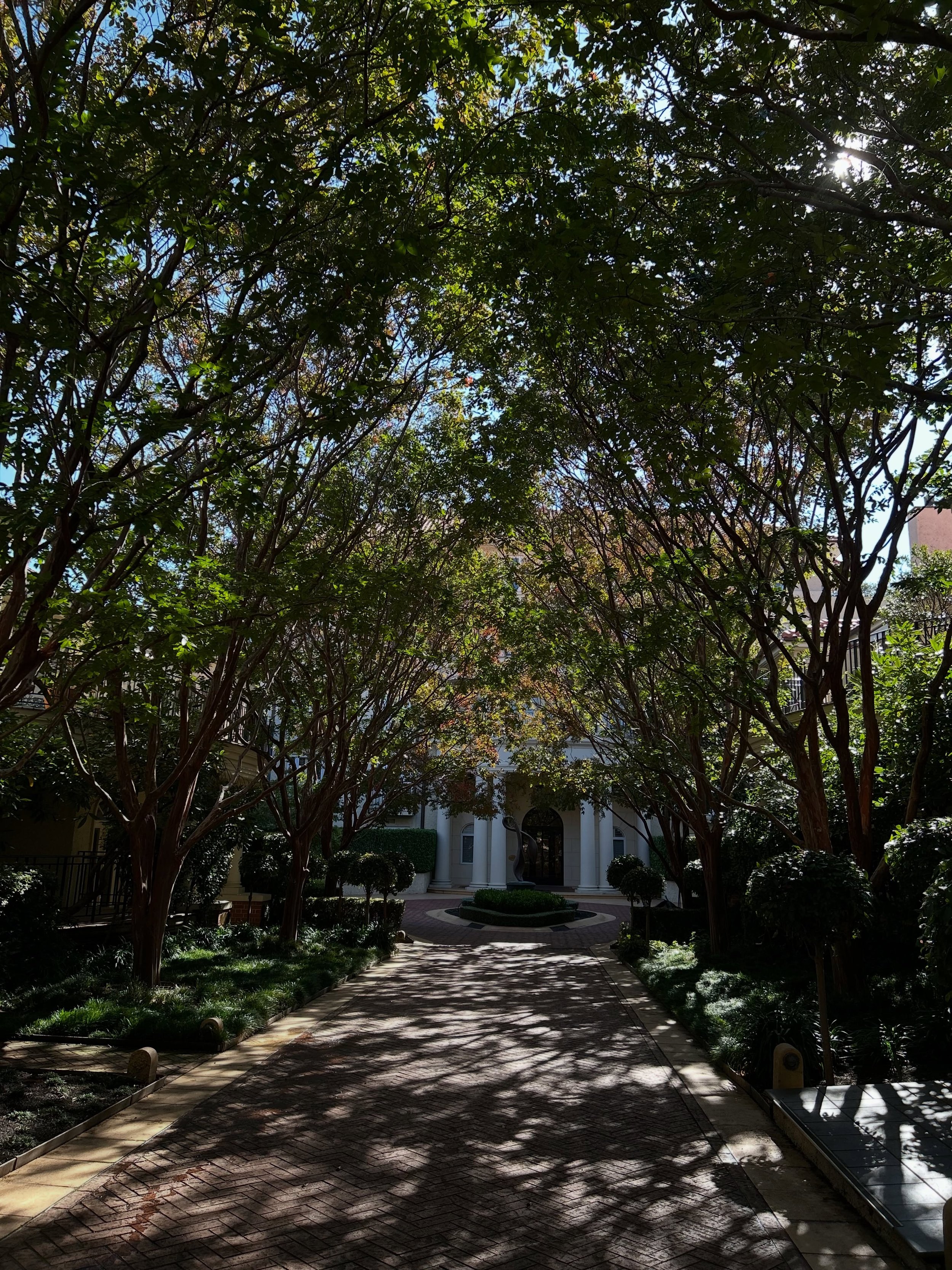 The change a few weeks can make&hellip; 

This beautiful, 20 year old Crepe Myrtle walkway is a massive feature of our clients garden. We always look so forward to seeing the colour changes throughout the seasons