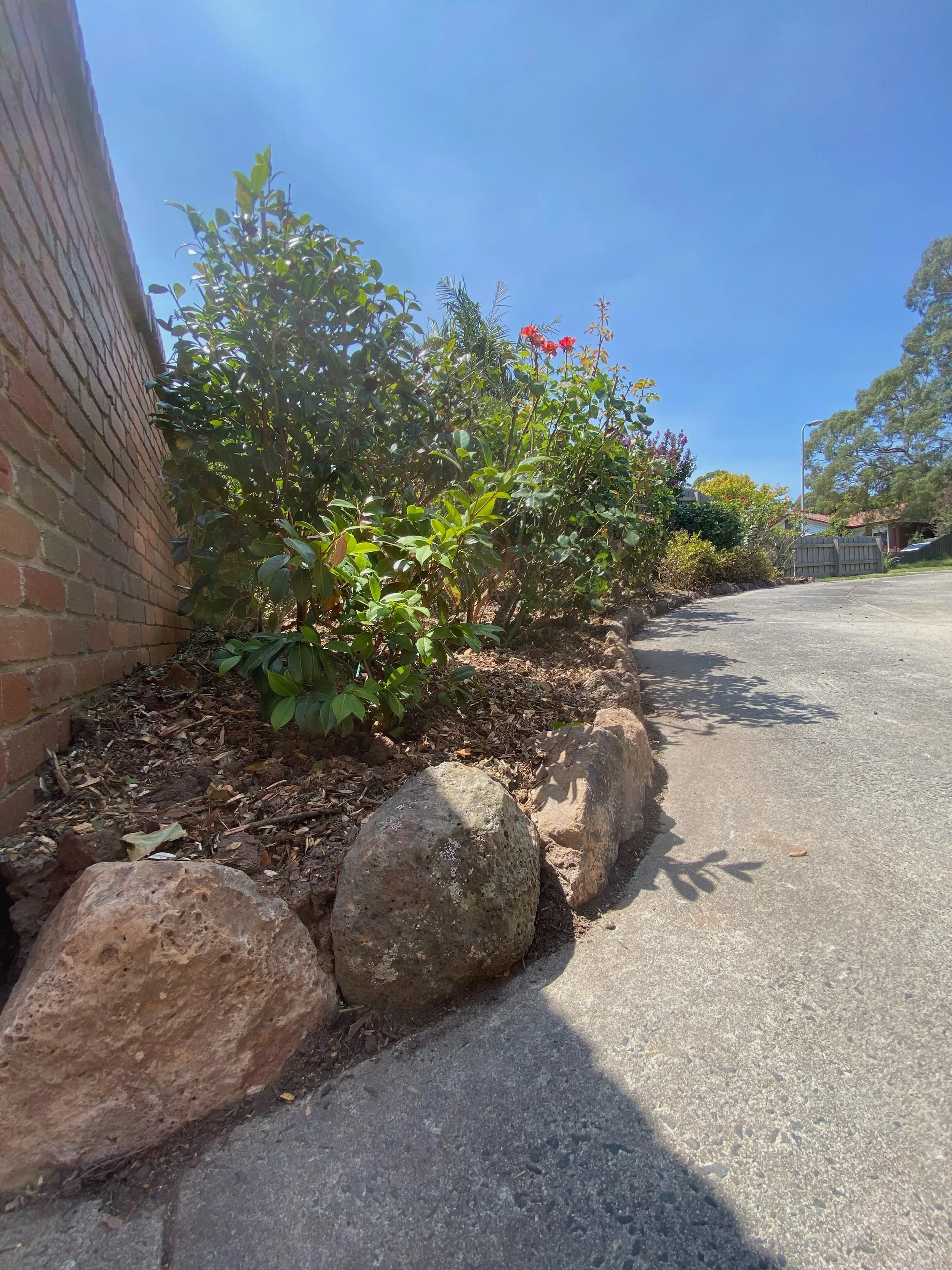 Garden with shrubs and flowers next to a brick wall, bordered by rocks, under a clear blue sky.