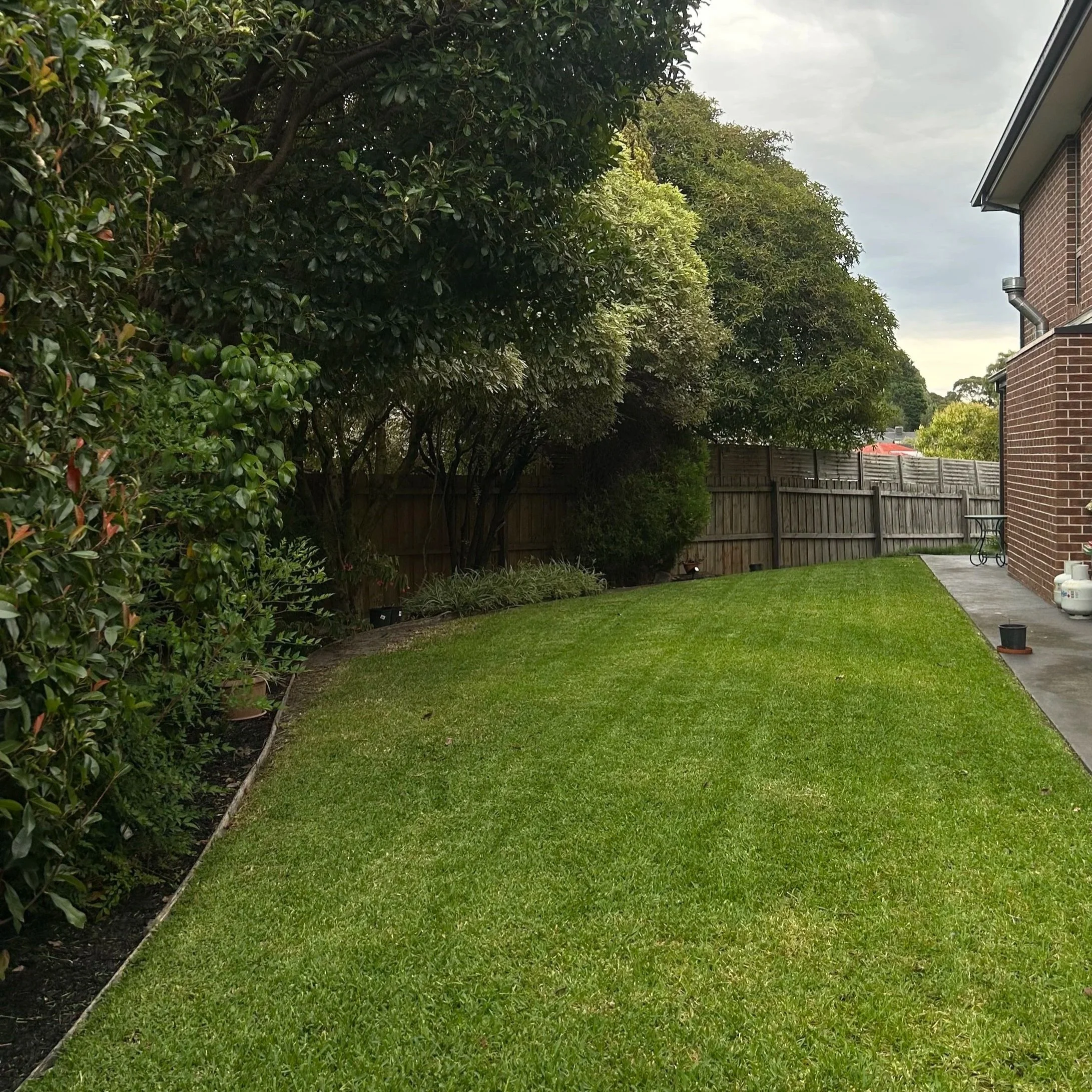 A neatly mowed backyard lawn next to a house with a brick wall, with a wooden fence and lush green trees and bushes in the background on a cloudy day.